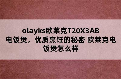 olayks欧莱克T20X3AB电饭煲，优质烹饪的秘密 欧莱克电饭煲怎么样